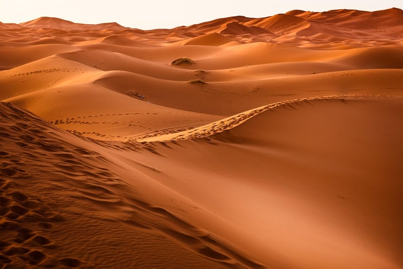 Desert Expeditions