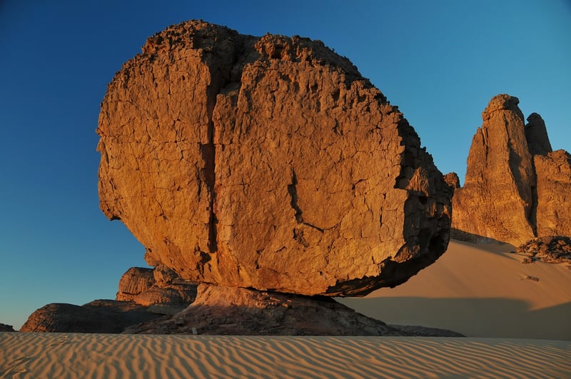 Desert Expedition